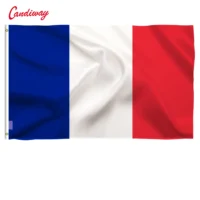 Drapeau France 90 x 150 cm — Polyester Résistant, Coutures Renforcées, Idéal Fêtes et Défilés